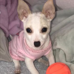 Meet your Posher, Marisol